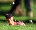 Tiger Woods bunker den vurmak
